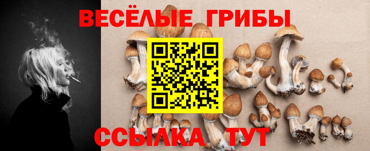 Псилоцибиновые грибы ЛСД Россошь