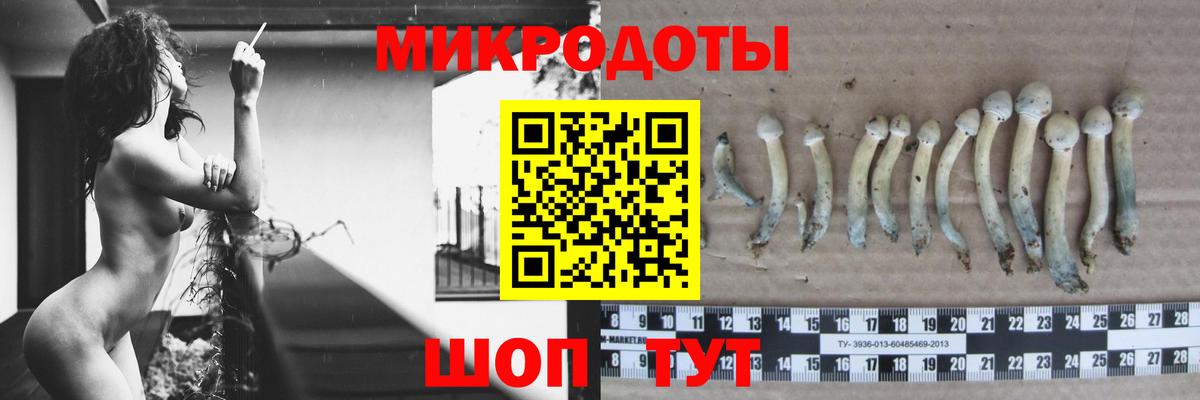 Псилоцибиновые грибы мухоморы  Вход с VPN  Псилоцибиновые грибы ЛСД  Россошь 
